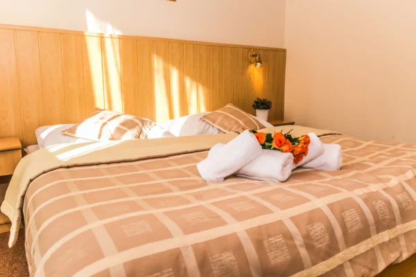 hotel-mnich-apartman-2plus2-5