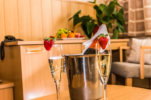 hotel-mnich-apartman-2plus2-7