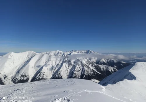 hotel-mnich-galeria-1